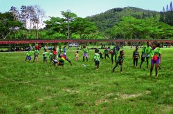 Enfants qui jouent Terrain d'herbe avec des enfants qui jouent